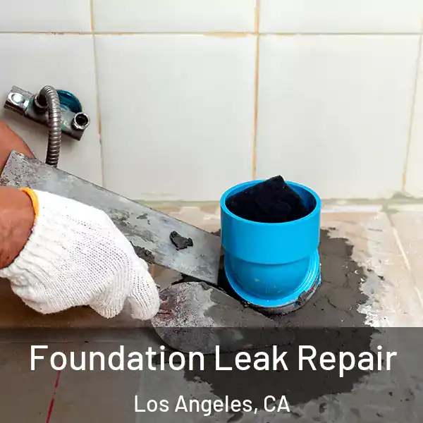 Foundation Leak Repair Los Angeles, CA