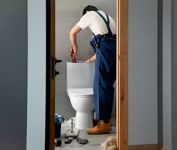 Professional Plumbers for Toilet Bowl Replacement in Los Angeles, CA: Schedule Affordable Toilet Replacement Services With Us