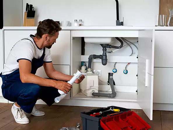 Why Choose Expert One Plumbing for Insinkerator Installation in Los Angeles, CA?