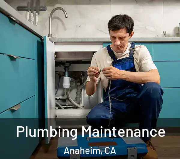  Plumbing Maintenance Anaheim, CA
